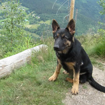 U Kobru * Szpindlerowy Młyn